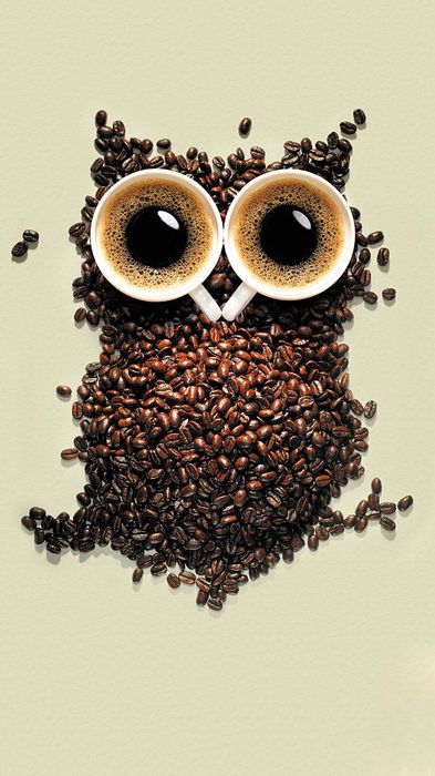 coffee owl cups grains background