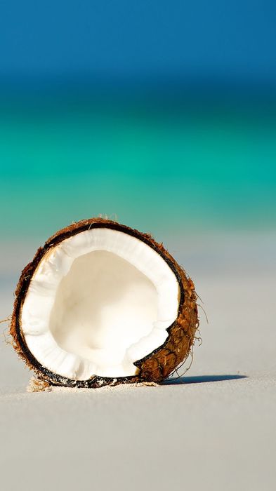 coconut beach 1080x1920