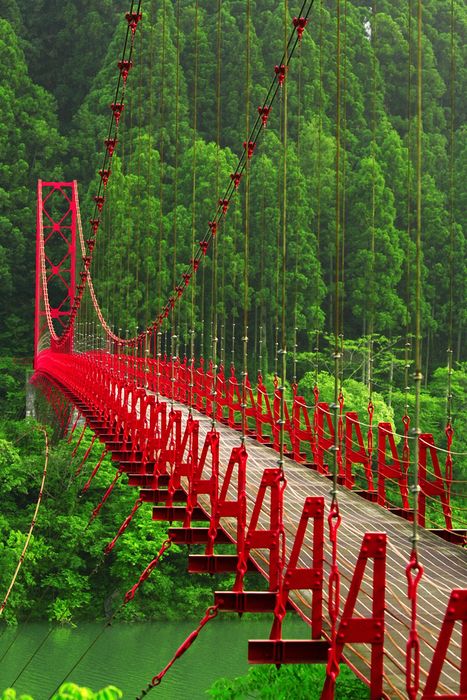 japan red fence bench parkbench barrier grass tree picketfence yard