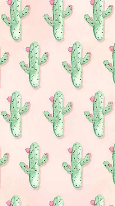 cactus green design art pattern drawing graphic symbol color background