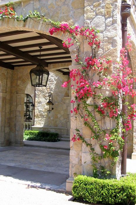 greece flowers architecture