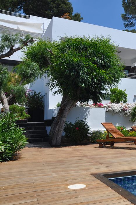 outdoor house palm swimmingpool 1280x1920