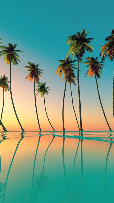 tree sky summer beach sea coconut tropical vacation palm water